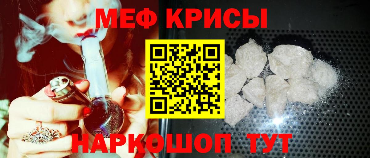 Волгоград  МЯУ-МЯУ мяу мяу  МЕФ  Вход с VPN 