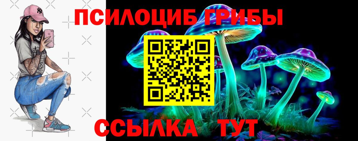 Псилоцибиновые грибы прущие грибы Волгоград
